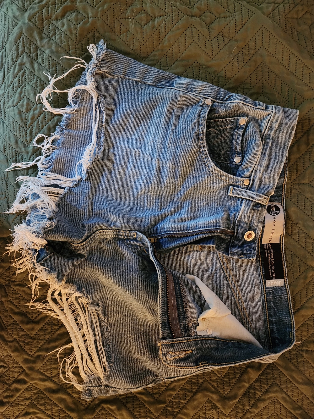 Frayed Hem Light Blue Denim Cutoff Shorts